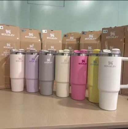 STANLEY Adventure Series H2.0 Stainless Steel Vacuum Straw Cup 887ml, RetroOutdoor Design Large Capacity Insulated Tumbler